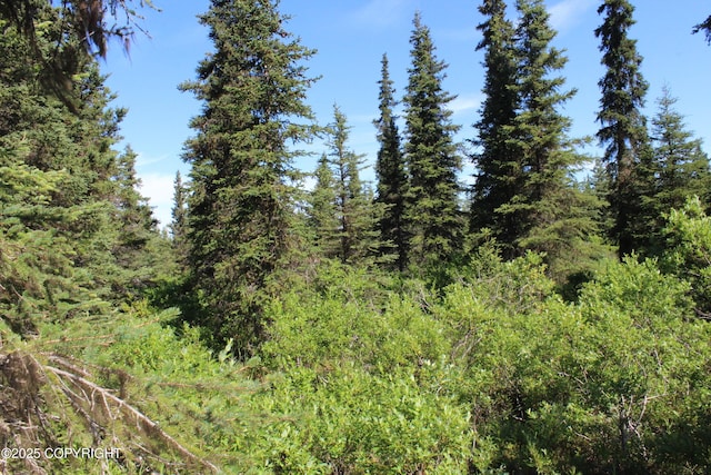 38593 Taylor St, Anchor Point, AK 99556 - photo 72