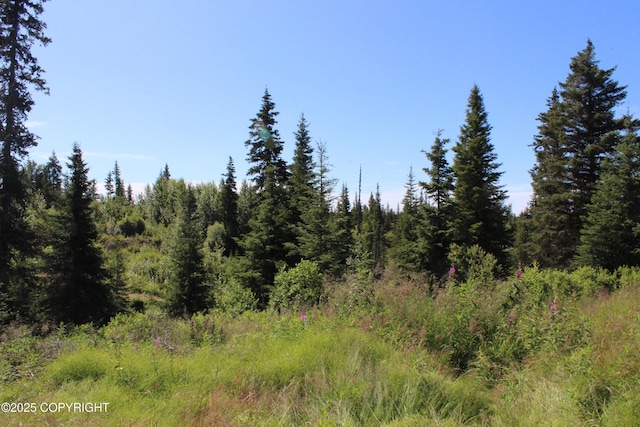 38593 Taylor St, Anchor Point, AK 99556 - photo 75