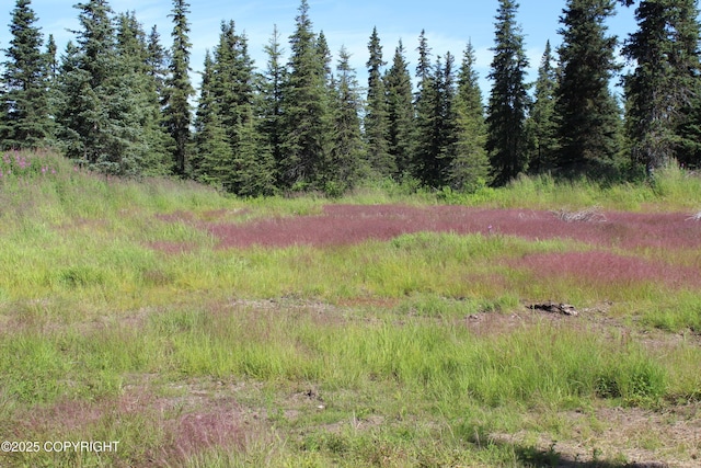 38593 Taylor St, Anchor Point, AK 99556 - photo 78