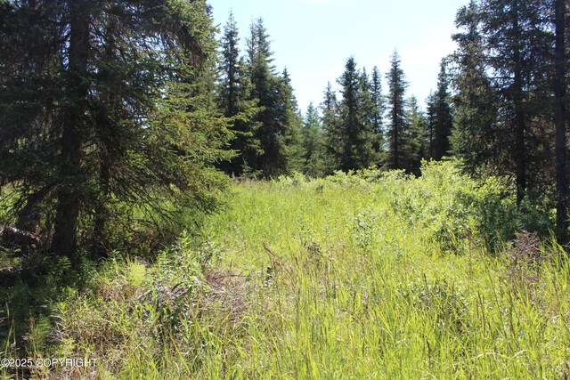 38593 Taylor St, Anchor Point, AK 99556 - photo 69
