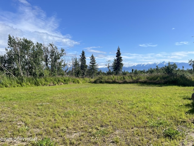 38834 Triple Crown Rd, Homer, AK 99603 - photo 4