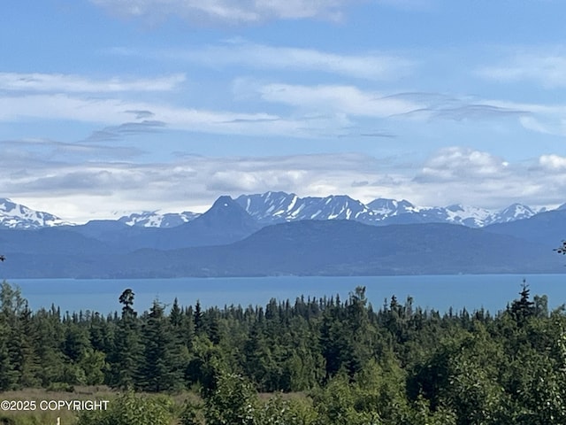 38834 Triple Crown Rd, Homer, AK 99603 - photo 2