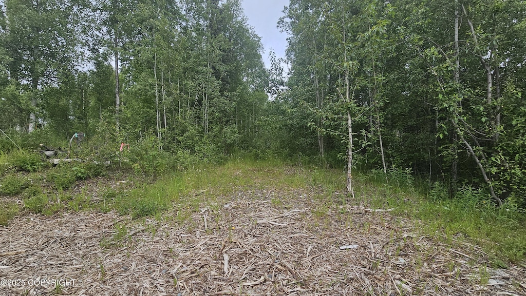 729 E Mountain Ash Loop, Wasilla, AK 99654 - photo 2