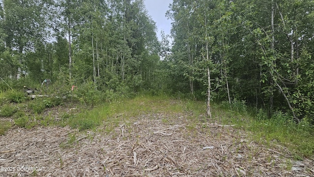 729 E Mountain Ash Loop, Wasilla, AK 99654 - photo 2