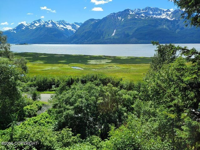 76 River Rd, Haines, AK 99827 - photo 8