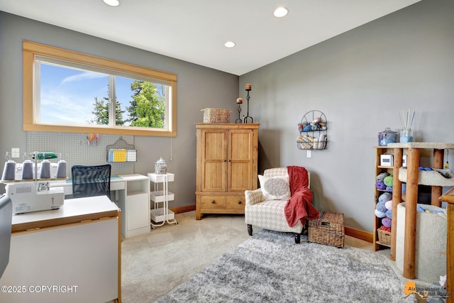 11620 Woodbourne Dr, Anchorage, AK 99516 - photo 37