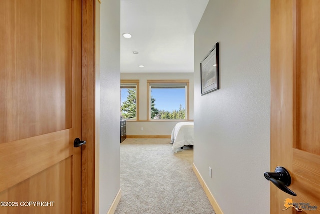 11620 Woodbourne Dr, Anchorage, AK 99516 - photo 64