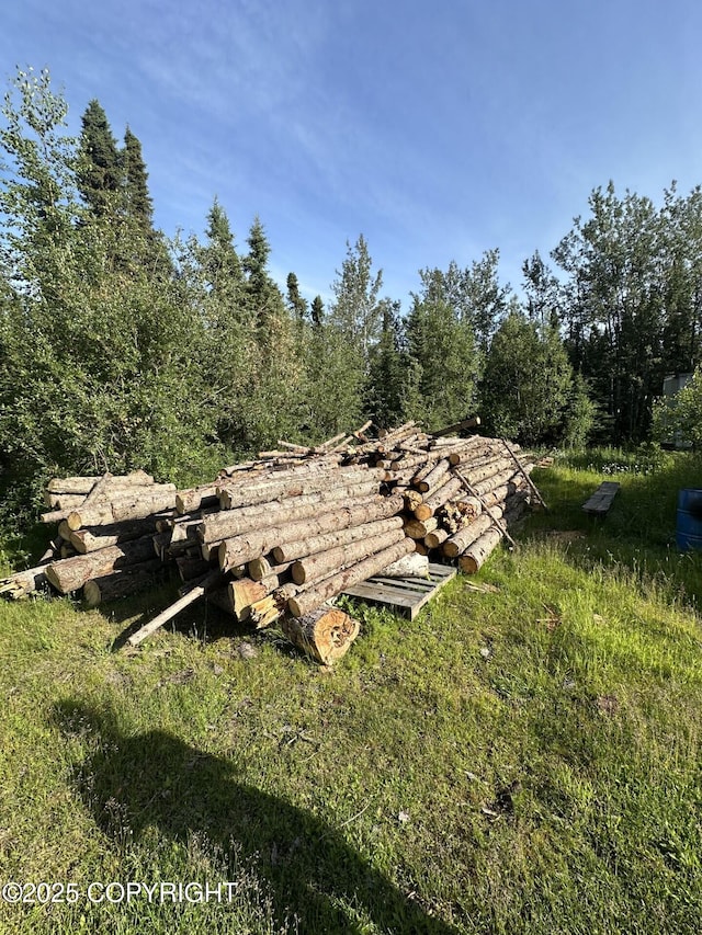 28521 Bunno Rd, Sterling, AK 99672 - photo 3