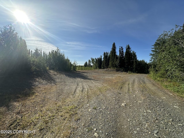 28521 Bunno Rd, Sterling, AK 99672 - photo 5