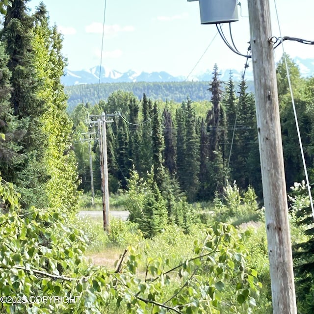 30499 Arc Loop Rd, Soldotna, AK 99669 - photo 18