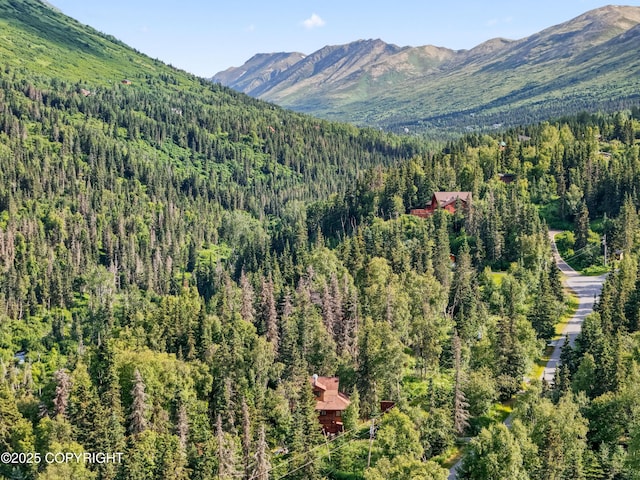 5427 Wild Mountain Dr, Eagle River, AK 99577 - photo 45