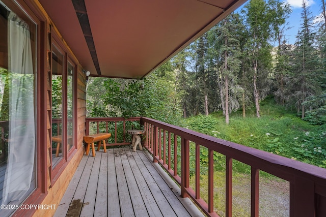 5427 Wild Mountain Dr, Eagle River, AK 99577 - photo 22