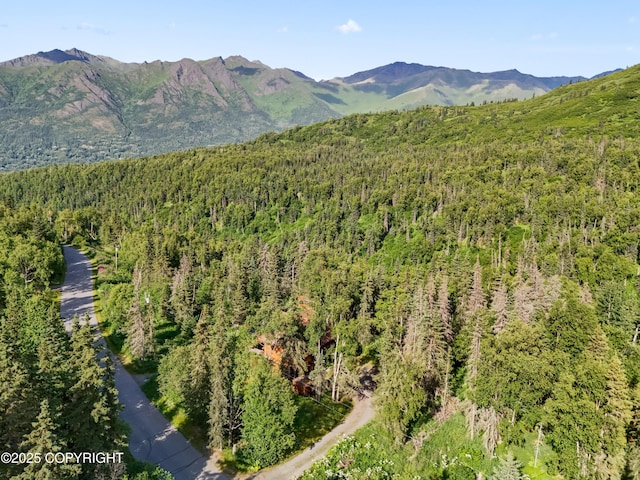 5427 Wild Mountain Dr, Eagle River, AK 99577 - photo 31