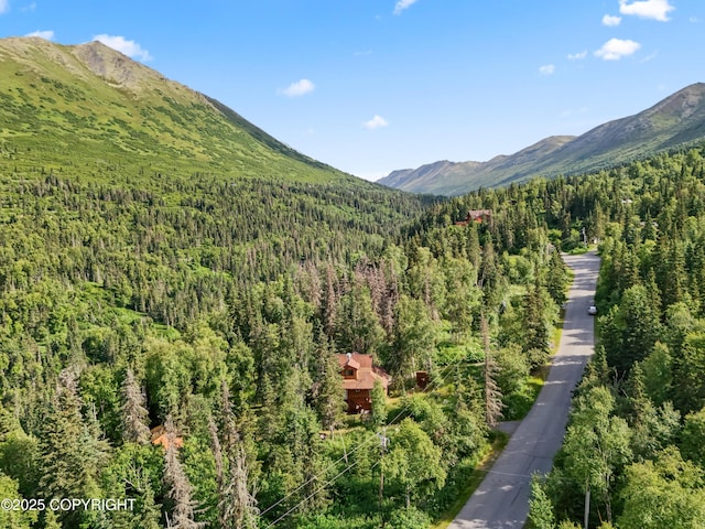 5427 Wild Mountain Dr, Eagle River, AK 99577 - photo 34