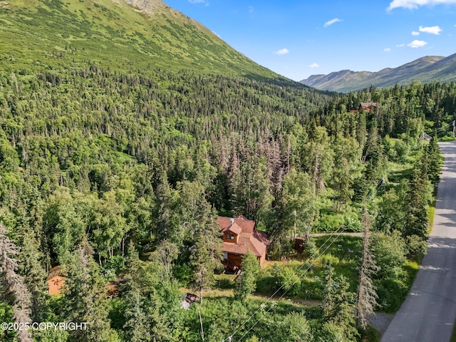 5427 Wild Mountain Dr, Eagle River, AK 99577 - photo 37