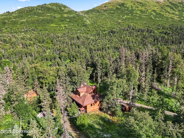 5427 Wild Mountain Dr, Eagle River, AK 99577 - photo 38