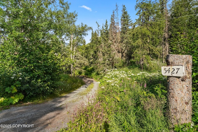5427 Wild Mountain Dr, Eagle River, AK 99577 - photo 44