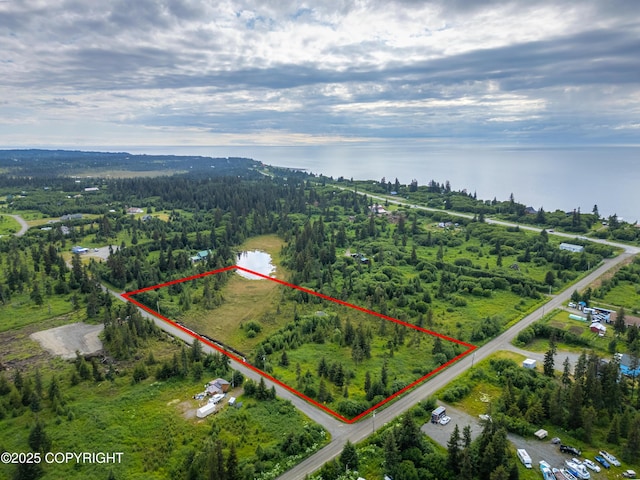 31575 Whiskey Gulch St, Anchor Point, AK 99556 - photo 2