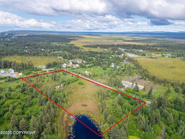 31575 Whiskey Gulch St, Anchor Point, AK 99556 - photo 4