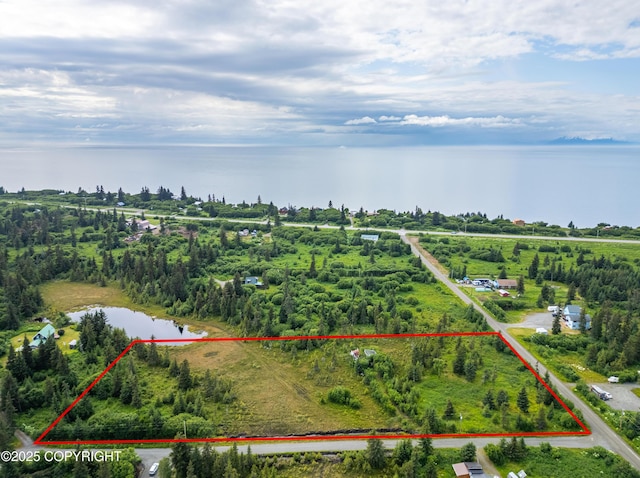 31575 Whiskey Gulch St, Anchor Point, AK 99556 - photo 1