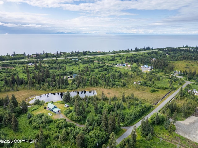 31575 Whiskey Gulch St, Anchor Point, AK 99556 - photo 13