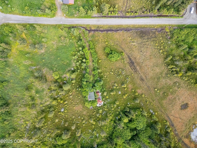 31575 Whiskey Gulch St, Anchor Point, AK 99556 - photo 14