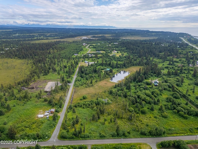 31575 Whiskey Gulch St, Anchor Point, AK 99556 - photo 15