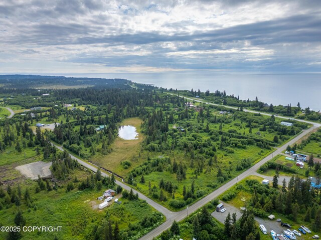 31575 Whiskey Gulch St, Anchor Point, AK 99556 - photo 16