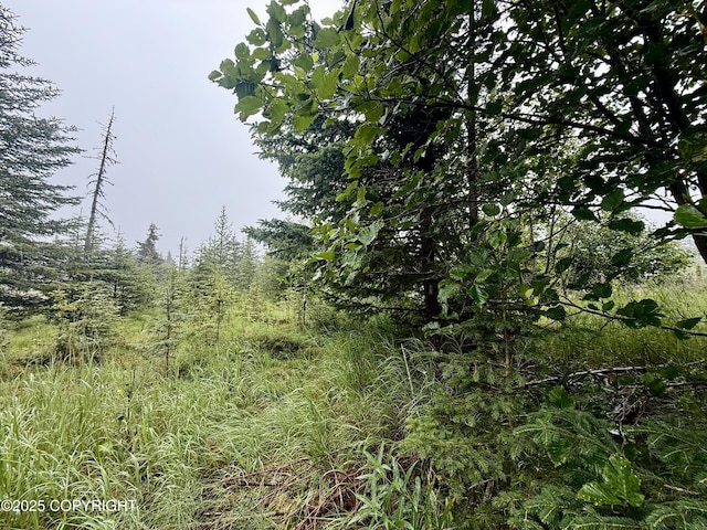 31575 Whiskey Gulch St, Anchor Point, AK 99556 - photo 8