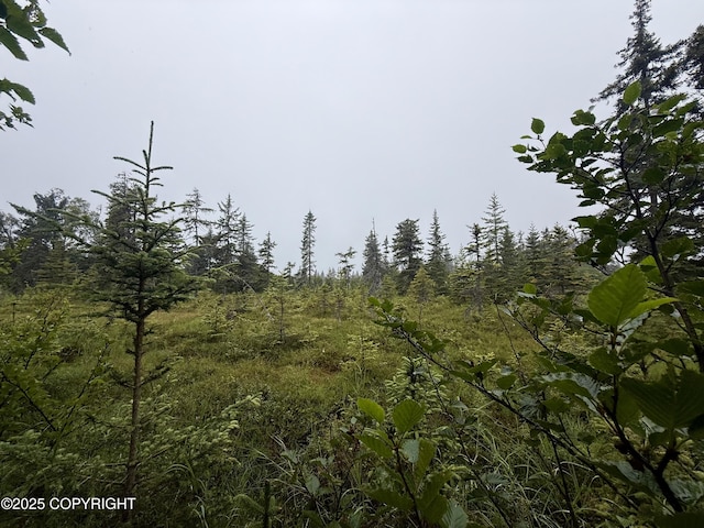 31575 Whiskey Gulch St, Anchor Point, AK 99556 - photo 7