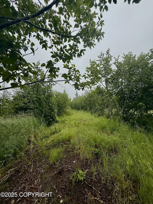 31575 Whiskey Gulch St, Anchor Point, AK 99556 - photo 10