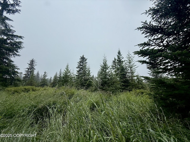 31575 Whiskey Gulch St, Anchor Point, AK 99556 - photo 6