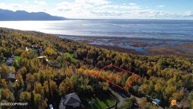 L9 Feodosia Dr, Anchorage, AK 99516 - photo 1