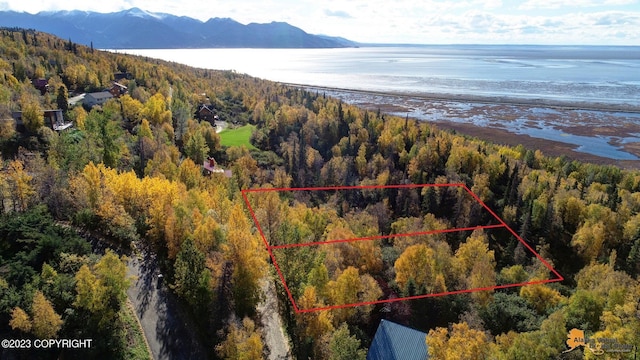 L9 Feodosia Dr, Anchorage, AK 99516 - photo 2
