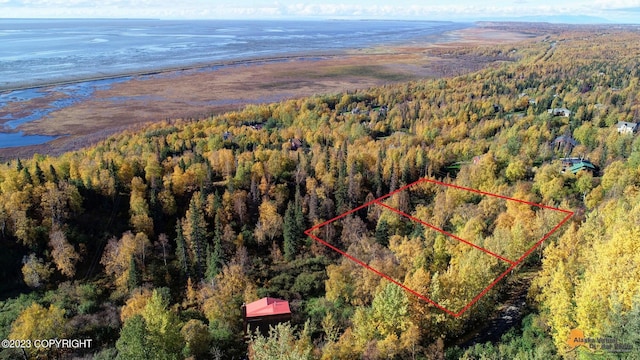L9 Feodosia Dr, Anchorage, AK 99516 - photo 3