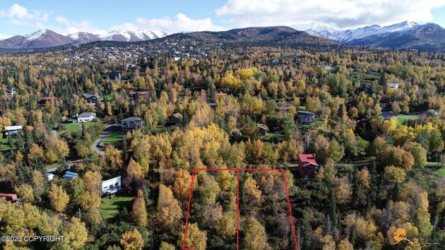 L9 Feodosia Dr, Anchorage, AK 99516 - photo 5