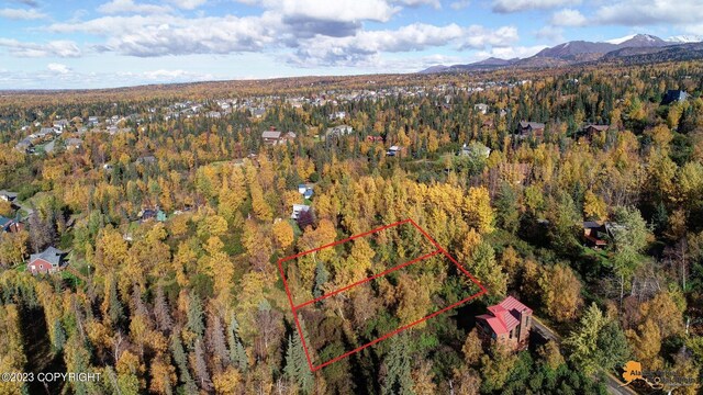 L9 Feodosia Dr, Anchorage, AK 99516 - photo 6
