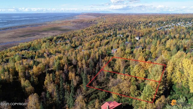 L9 Feodosia Dr, Anchorage, AK 99516 - photo 7