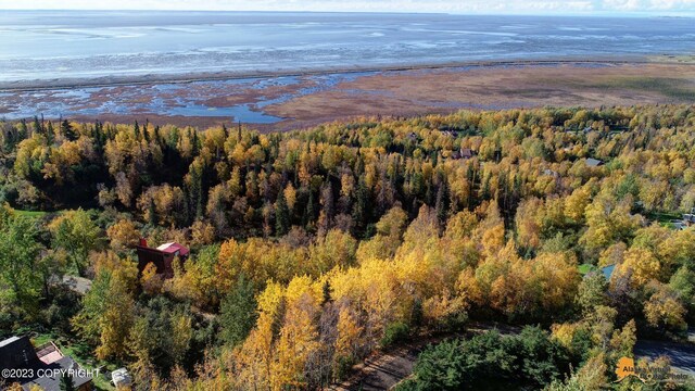 L9 Feodosia Dr, Anchorage, AK 99516 - photo 9