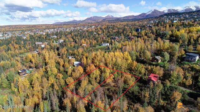 L9 Feodosia Dr, Anchorage, AK 99516 - photo 10