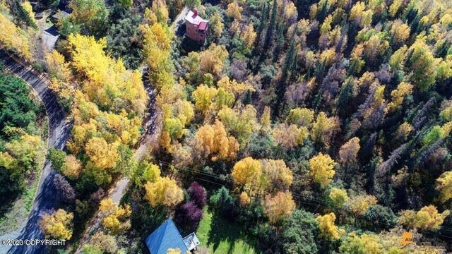 L9 Feodosia Dr, Anchorage, AK 99516 - photo 12