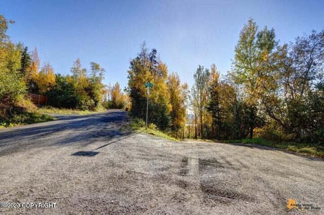 L9 Feodosia Dr, Anchorage, AK 99516 - photo 14