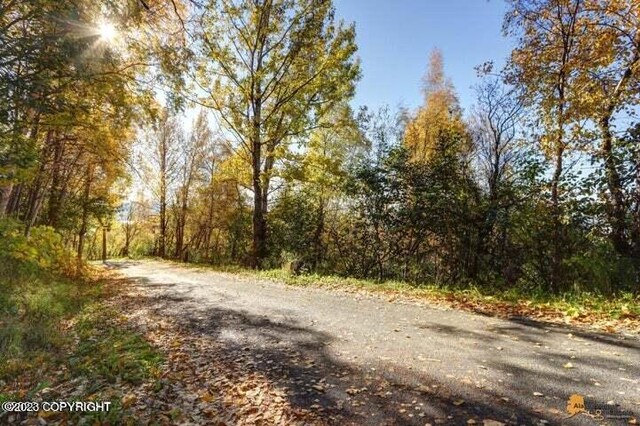 L9 Feodosia Dr, Anchorage, AK 99516 - photo 15