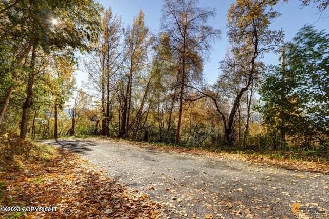L9 Feodosia Dr, Anchorage, AK 99516 - photo 16
