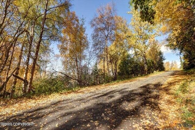 L9 Feodosia Dr, Anchorage, AK 99516 - photo 18