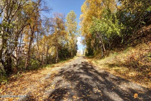 L9 Feodosia Dr, Anchorage, AK 99516 - photo 19