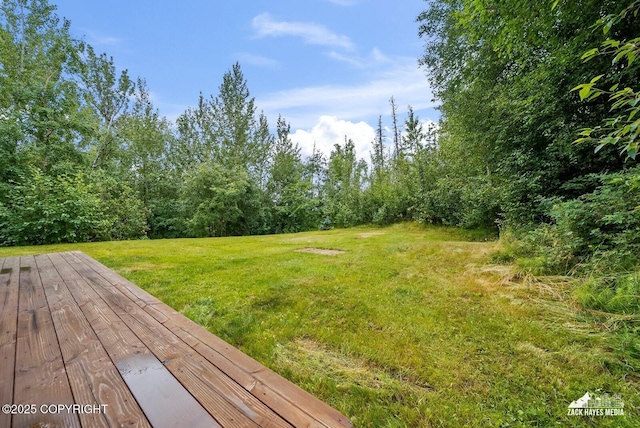 1420 Aspen Pl, Wasilla, AK 99654 - photo 47