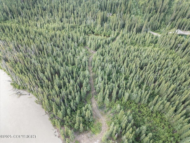 3995 Old Valdez Trl, Salcha, AK 99714 - photo 1