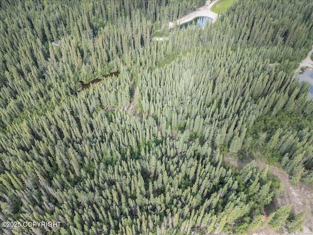 3995 Old Valdez Trl, Salcha, AK 99714 - photo 3