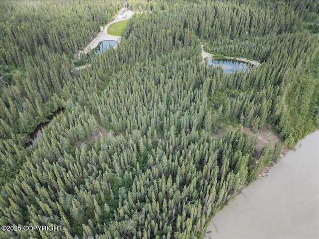 3995 Old Valdez Trl, Salcha, AK 99714 - photo 4